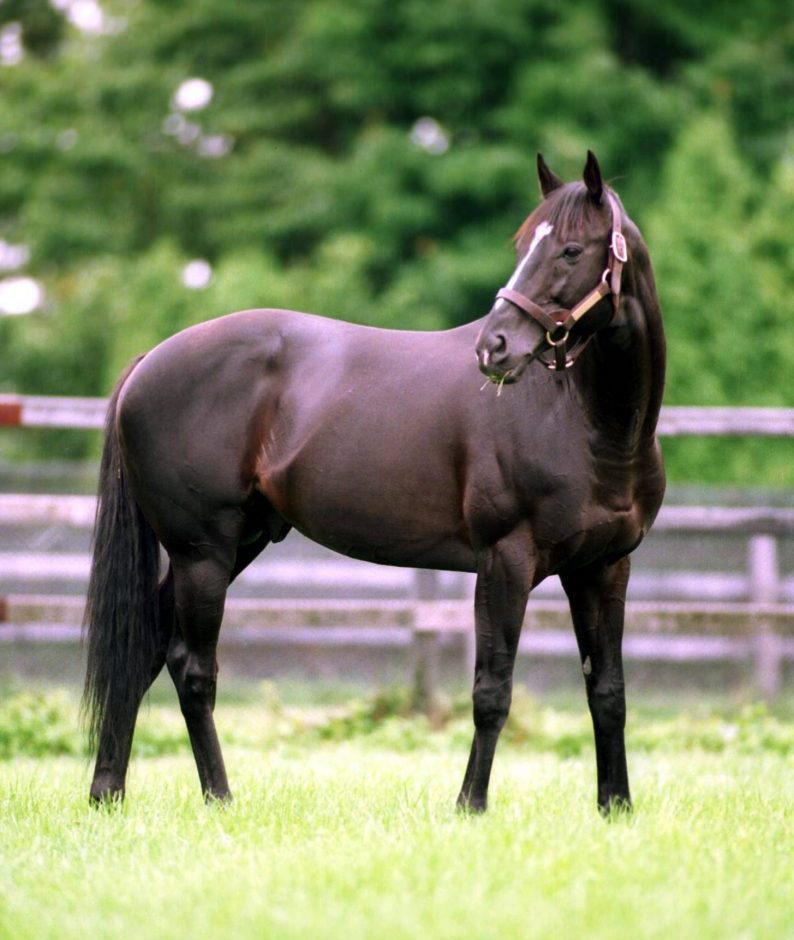 Javier I. Farache tweet media