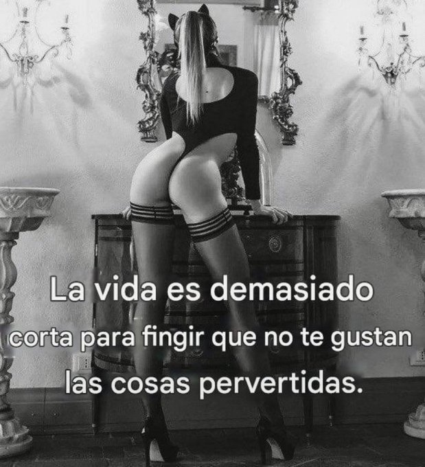 Zardhuk Ventrezca. tweet media