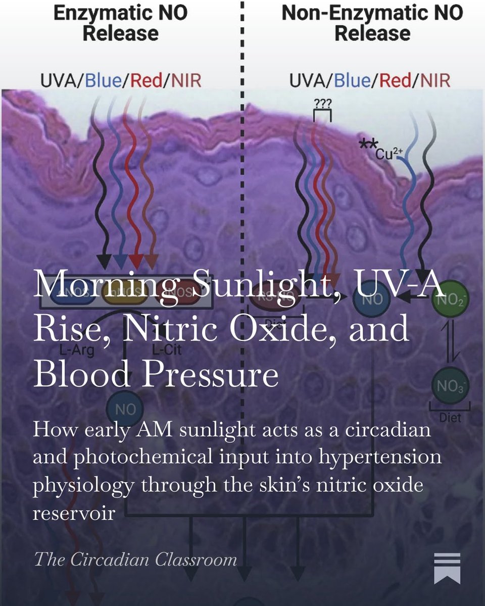 Zaid K. Dahhaj tweet media