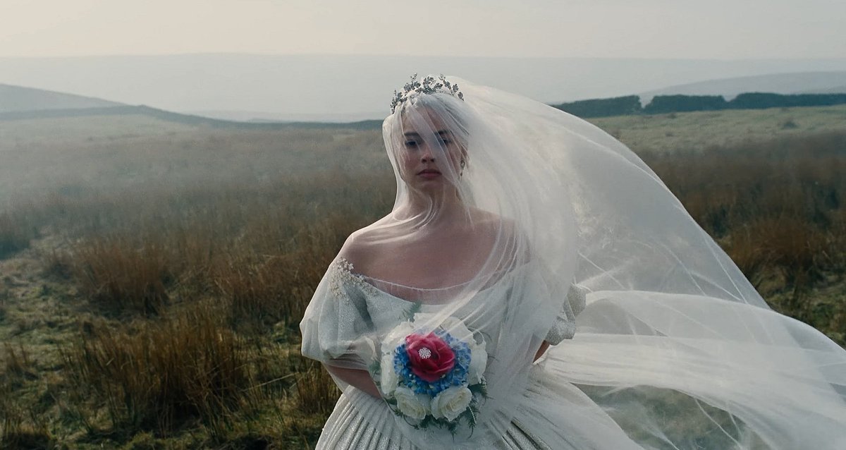 Alerta de Torrent tweet media