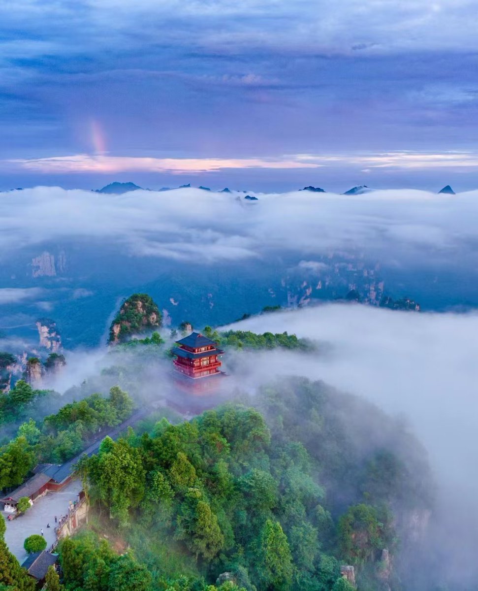 Dirtha Ortega tweet media