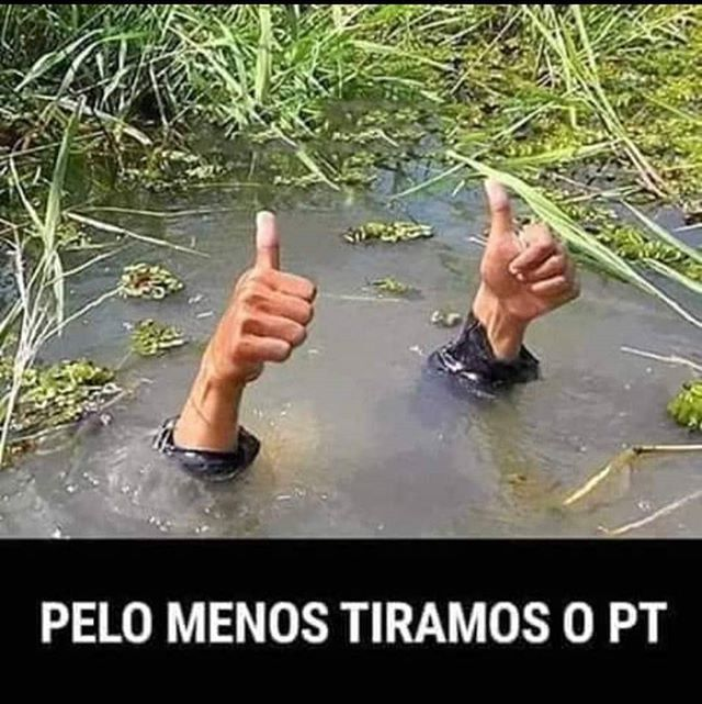 thiago7cv's tweet photo. “Mas não venham falar em voto nulo por conta disso!”.

Você teve um aperitivo do que é Flávio onde enfim conseguiu ver algo que pessoas que se guiam por princípios e não por torcida já tinham visto!

Essa 'lógica' de só tirar o PT é ridícula!
https://t.co/56RfuOnDMf
Digo há muito tempo, Flávio é um 'Cavalo de Tróia'. Se acontece o milagre de ele ganhar, as agendas soças vão passar todas que nem trem desgovernado e ai você vai ficar fazendo vídeos todo arrependido e nós, que nos guiamos pro princípios, vamos zoar vocês todos igual zoamos o pessoal que 'Fez o L'.

São tantos sinais! Não sei porque a surpresa do voto do cara que diz: “todes, todys e todXs!”; sinalizou apoiar pautas identitárias; é o 'Bolsonaro Moderado'; diz orgulhoso que tomou 2 doses de 'vacina'; agora é contra a pena de morte... Sério que vocês estão surpresos com o voto de Flávio!? Se eleito, isso vai piorar e não vai adiantar chorar depois!

Flávio claramente não está nem ai para o povo, para o Brasil, ele só quer saber de votos, de sentar na cadeira de presidente!

Só o fanatismo não deixa enxergar a realidade diante de seus olhos! Igual aos esquerdas que achavam que teria picanha e gasolina a R$ 2,00 em 2023. Emocionados demais! 🤭

Não duvido o 'Bolsonaro Moderado' querer liberar a maconha, apoiar pautas desarmamentistas e por ai vai... Como eu sempre digo, Flávio é um 'Cavalo de Troia' porque, num eventual milagre onde ele vence Lula, Flávio facilitaria o progresso de agendas de esquerda, assim como vimos ontem.

#FlavioNão! Acordem enquanto é tempo!