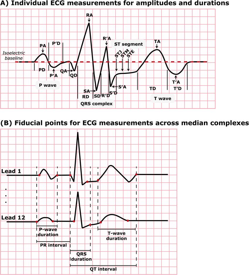 CardiovascularCorner tweet media