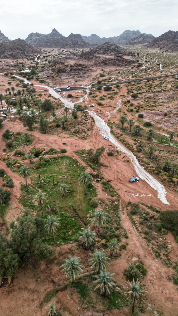 بلدية محافظة النبهانية tweet media