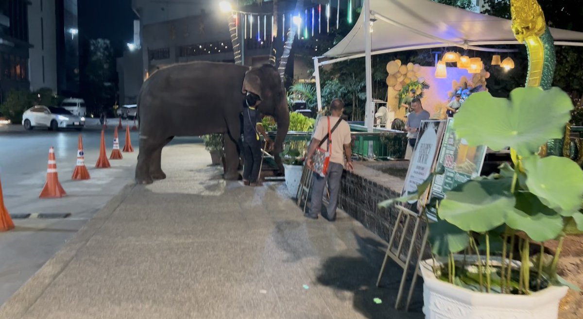 珈琲みかん🍊 tweet media