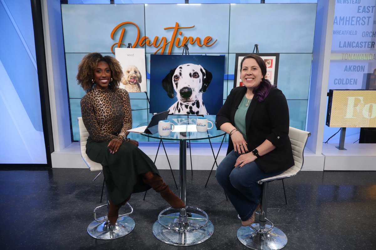 DaytimeBuffalo tweet media