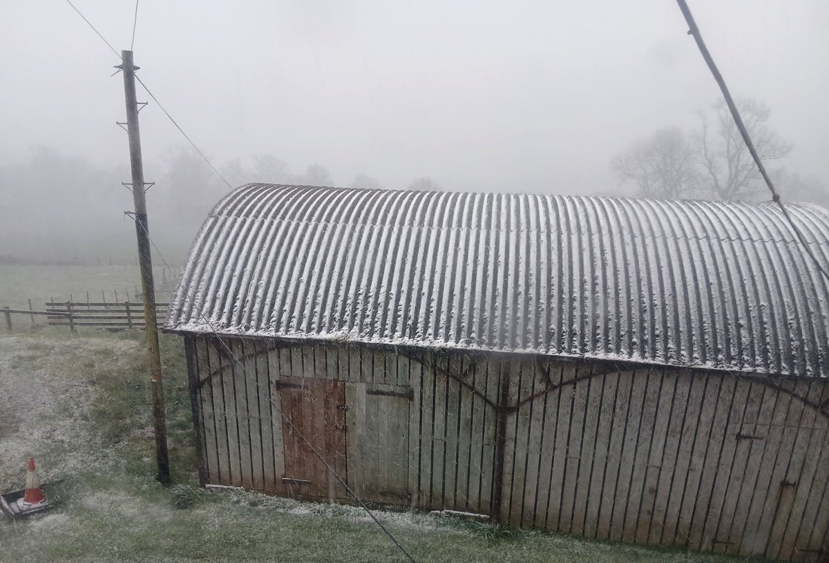 WatkinsWanders's tweet image. I love Spring! #hedgewatch #uksnow