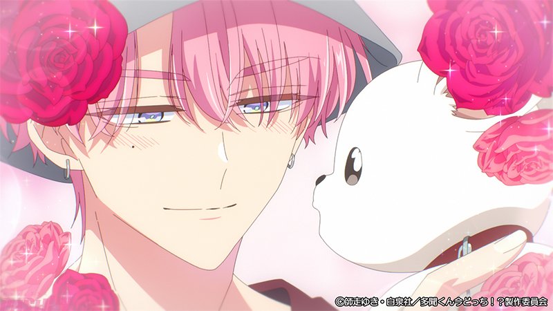 Hana to Yume News tweet media