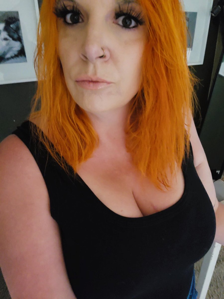 𝕀 ℙ𝕣𝕖𝕗𝕖𝕣 𝔻𝕠𝕘𝕤 tweet media