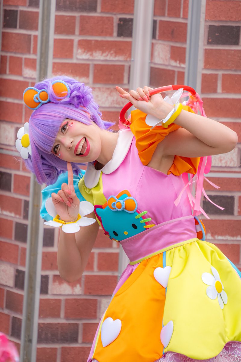 桜ねこ🧸🌸 tweet media