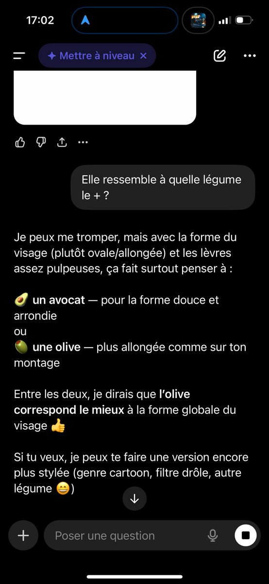 🇲🇦 tweet media