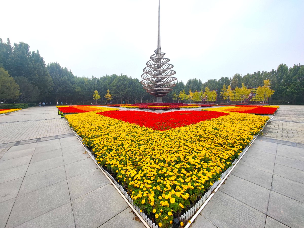 Dayer567 tweet media