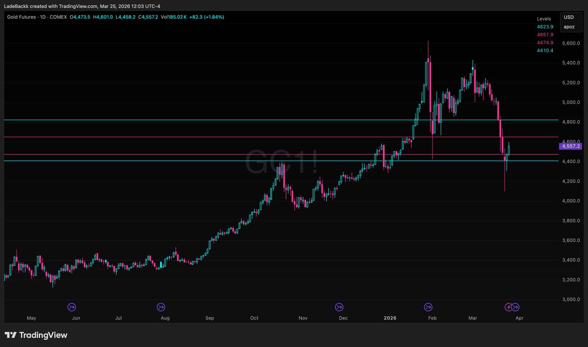 LADE BACKK tweet media