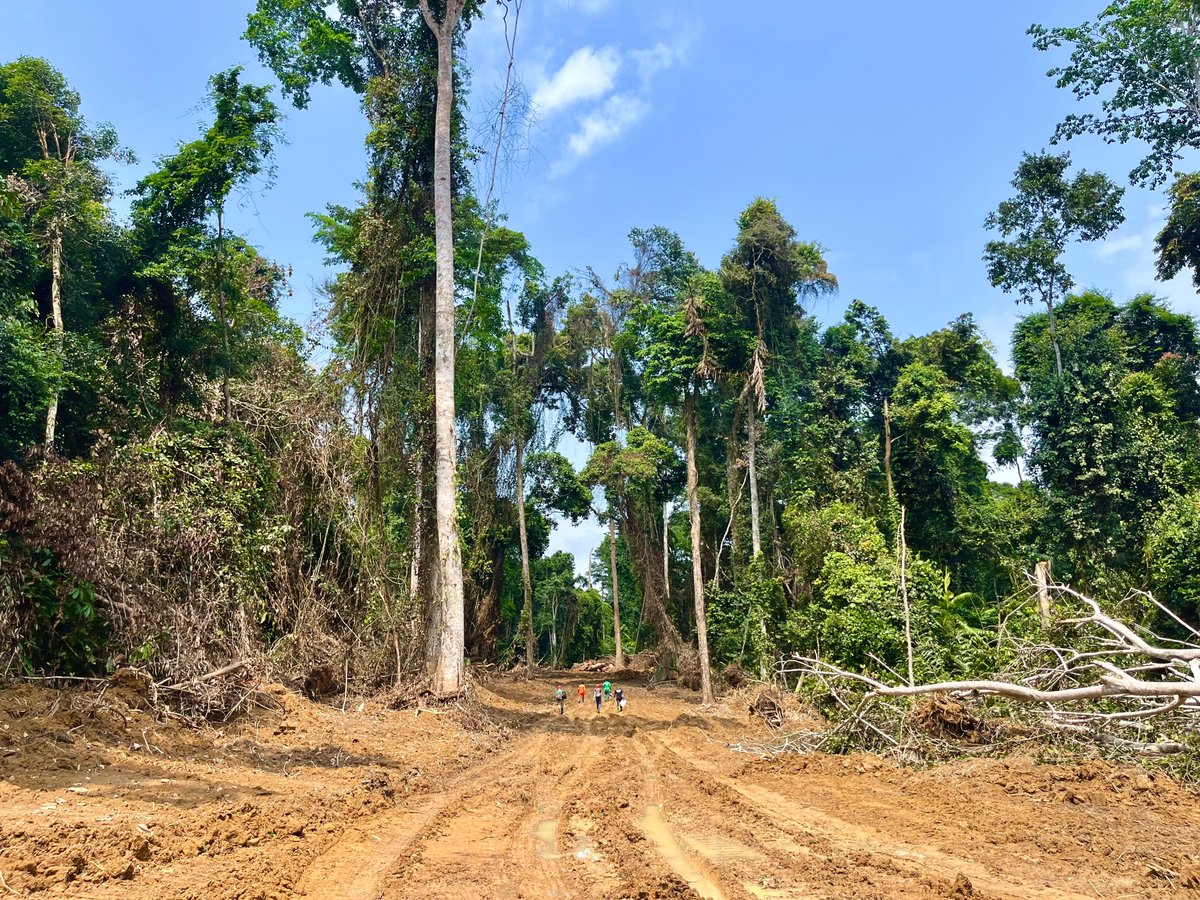 ZSL SPOTT tweet media