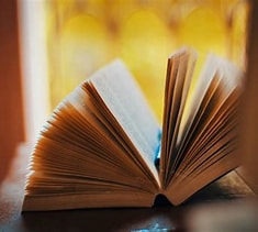 Umamusume Anything Bot tweet media