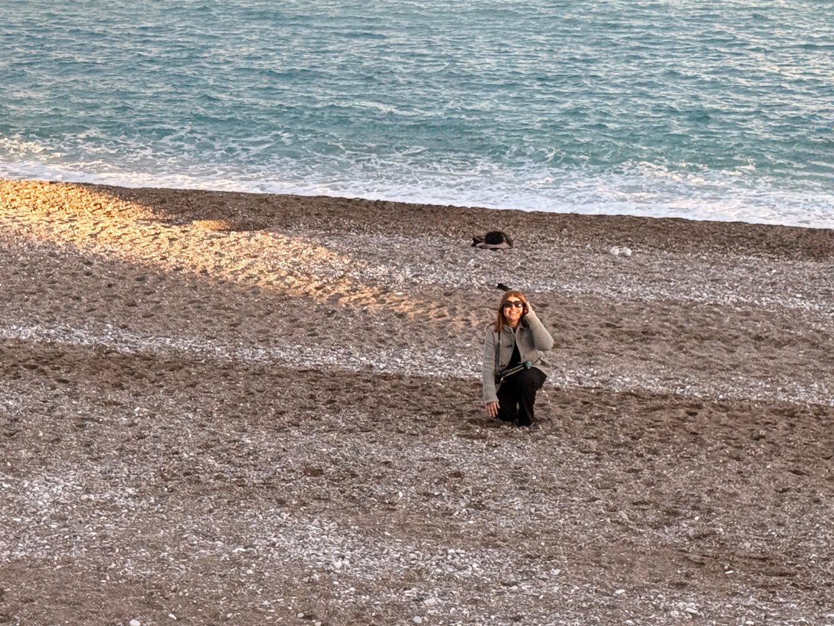 Sebnem Arslan tweet media