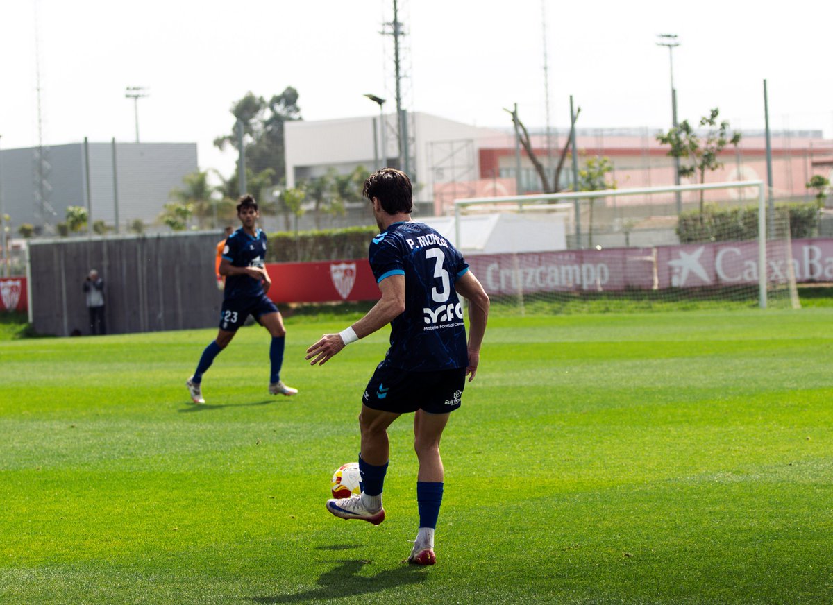 Pedro Morillo tweet media