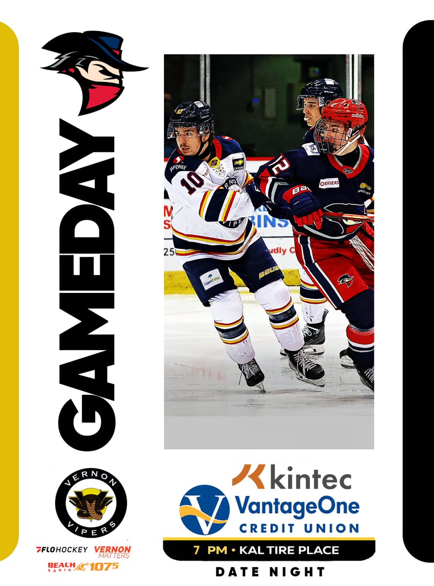 Vernon Vipers tweet media