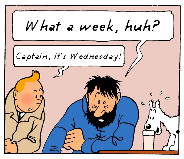 𝕊 𝕋 tweet media