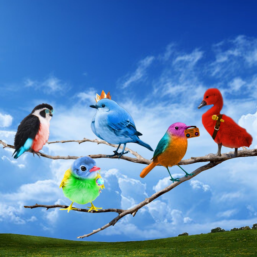 kay 💫 tweet media