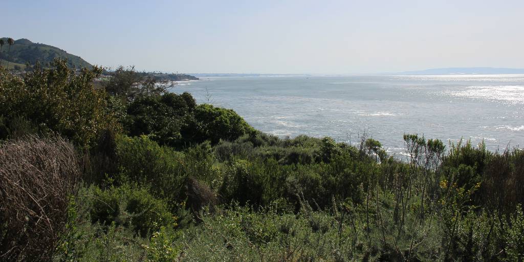 Central Coast Community Energy tweet media