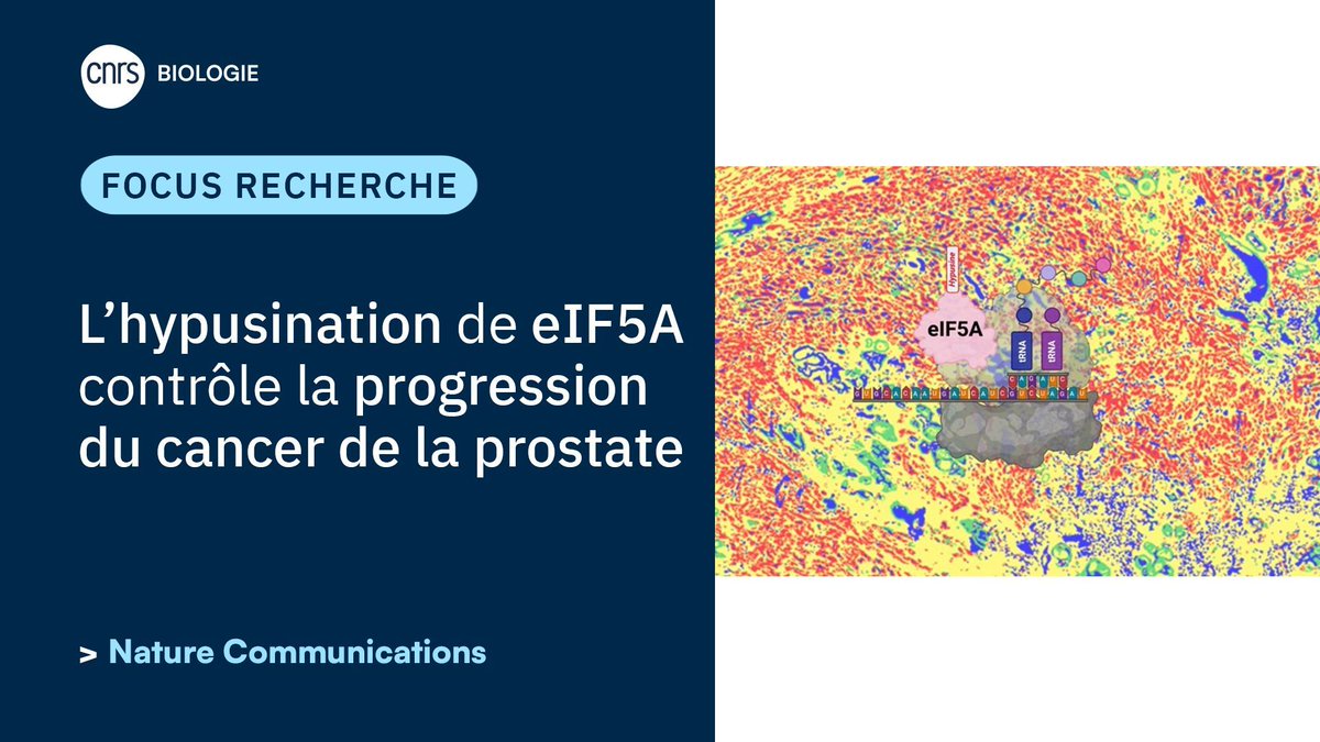CNRS Biologie tweet media