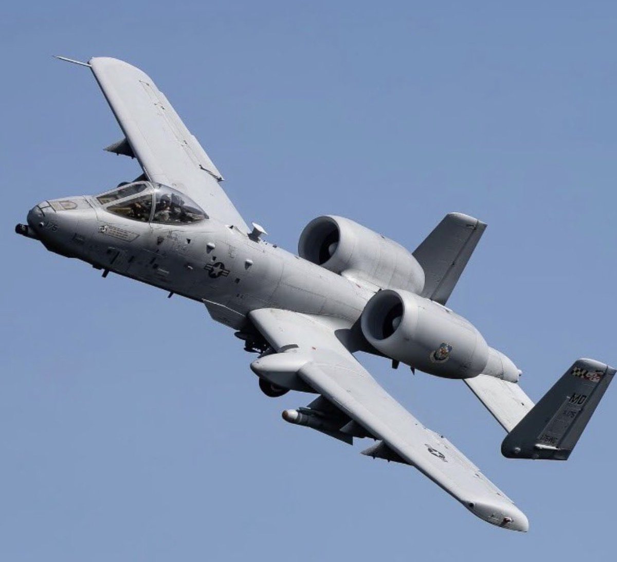 Narjis🌸 tweet media