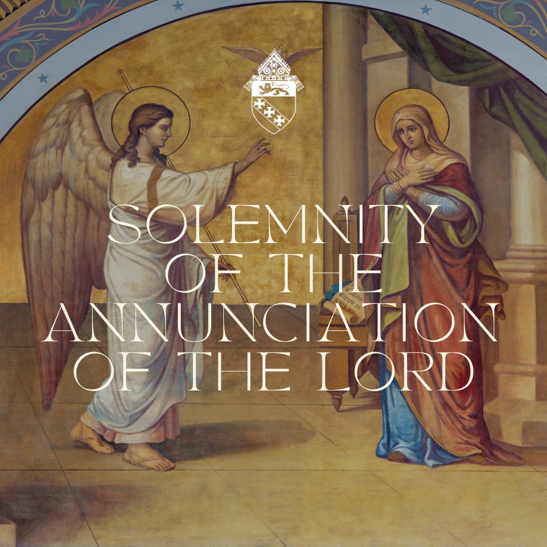 Diocese of Charleston tweet media