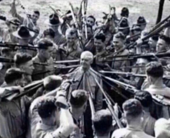 مقتطفات tweet media