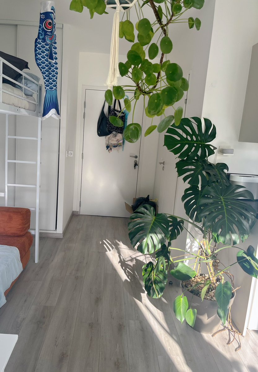 𝗽𝗲𝘁𝗲 tweet media