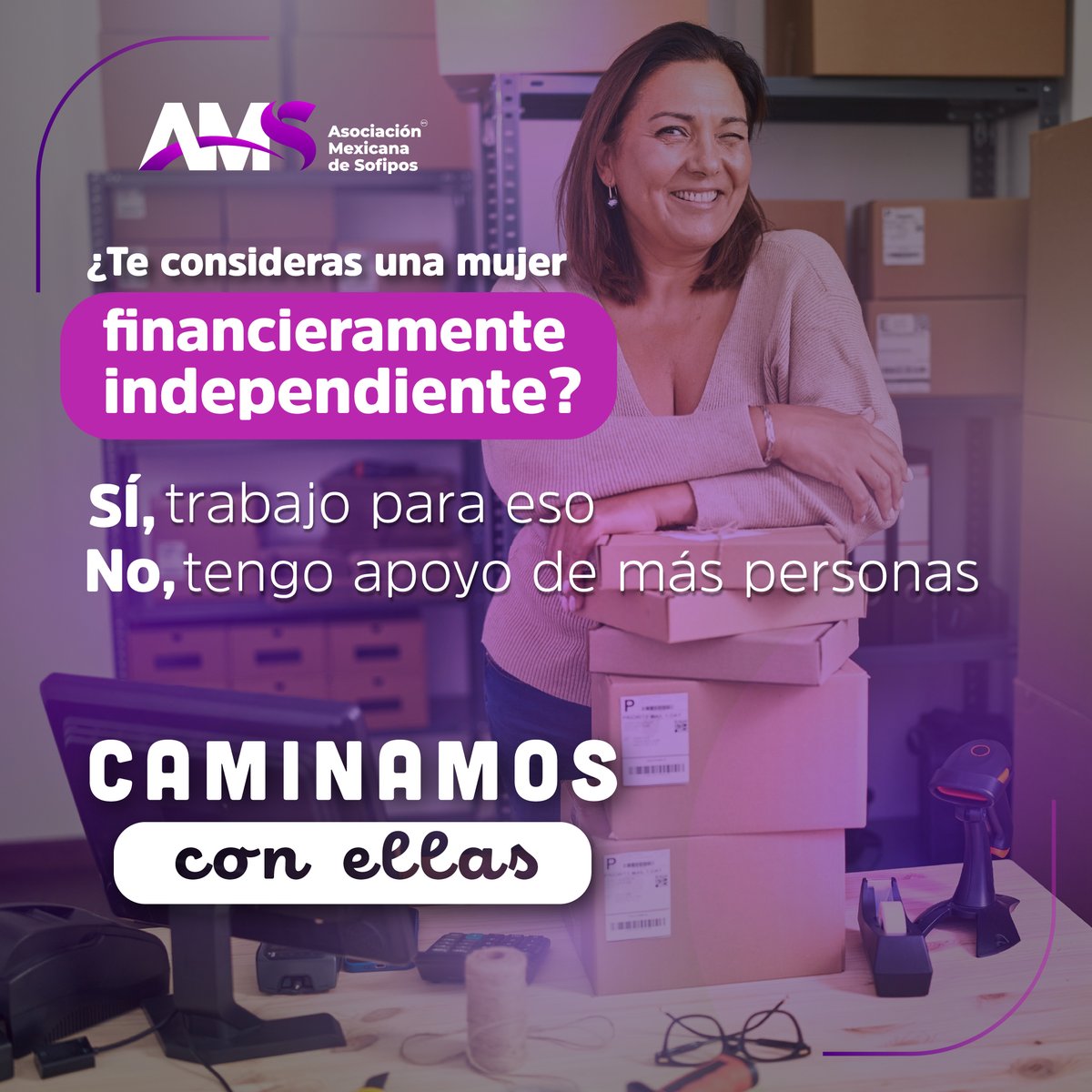 Amsofipo tweet media