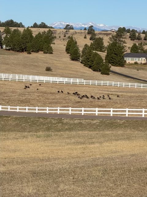 Rex Hickman tweet media