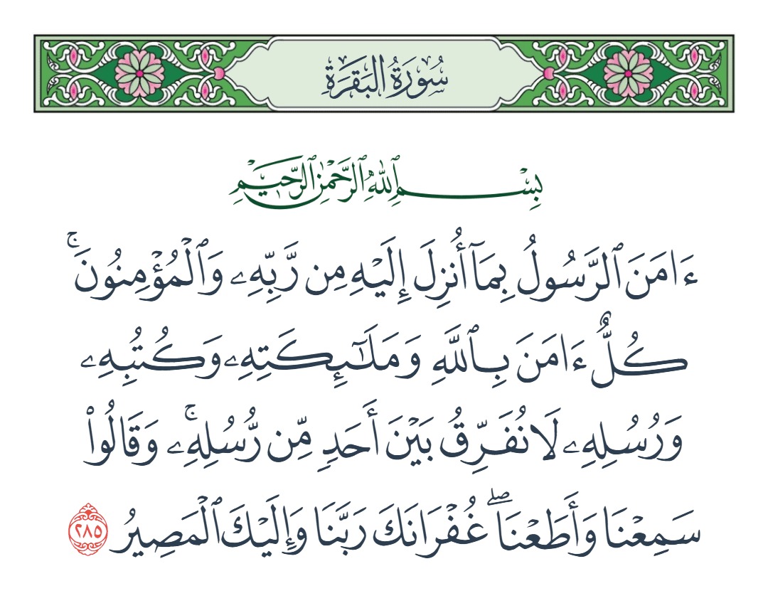 السيرة كروكودايلة tweet media