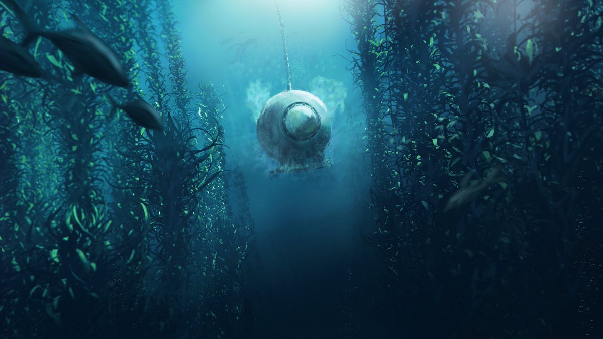 MEX19 | محمد tweet media