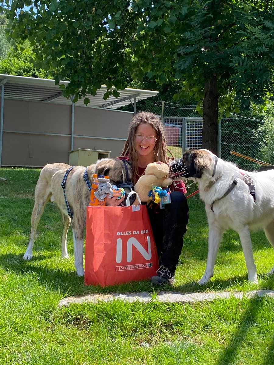 Random Acts tweet media