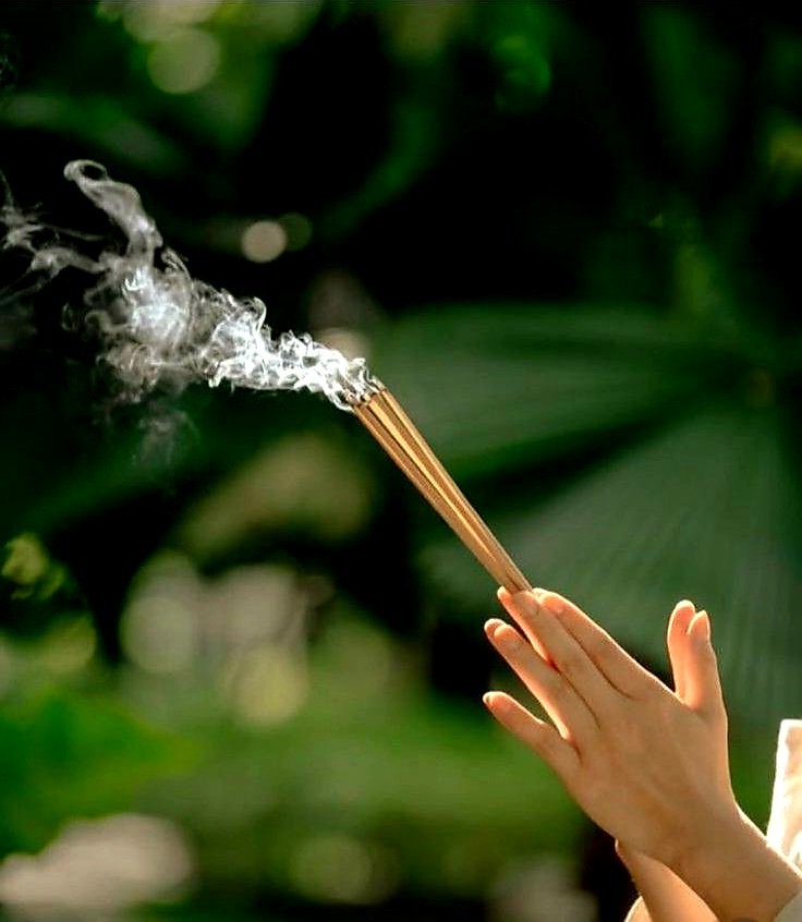 TAO CHAN 🪷 ZEN tweet media