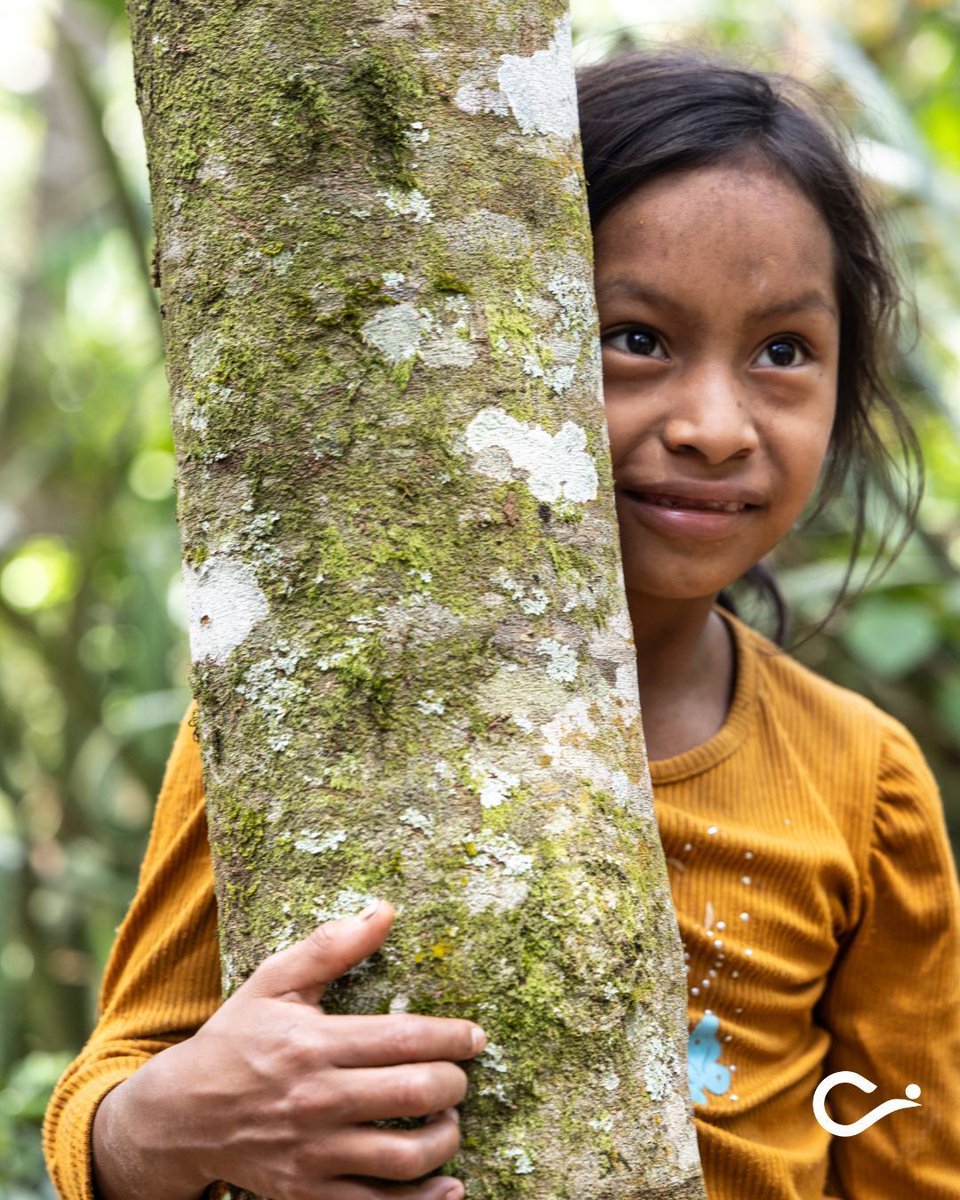 Cross International tweet media