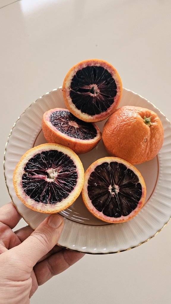 Bilgisel...✍️ tweet media