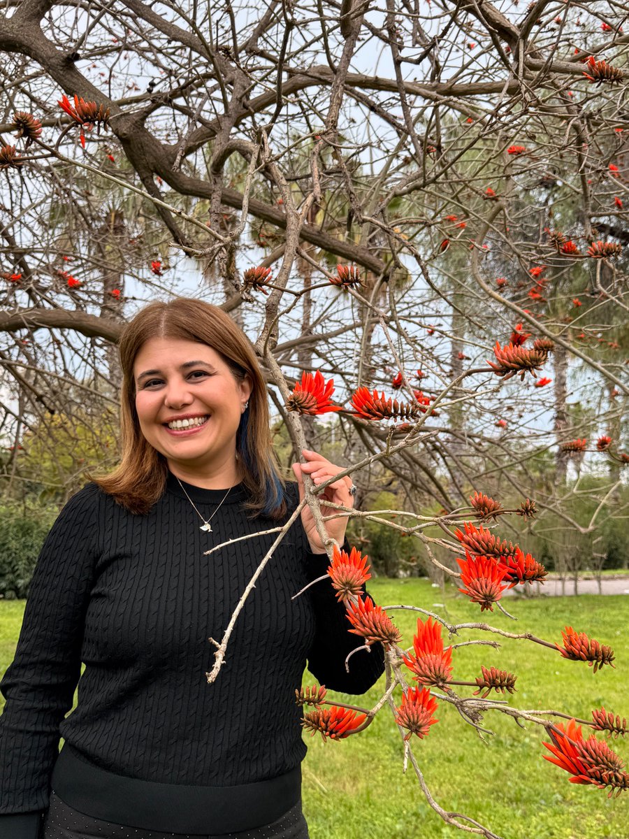 Sebnem Arslan tweet media