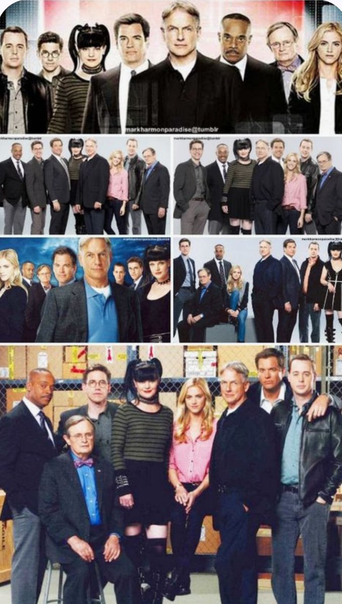 MarcellaPagan0's tweet image. All our darlings together in a collage 
(I didn't make it) #NCIS #CBS