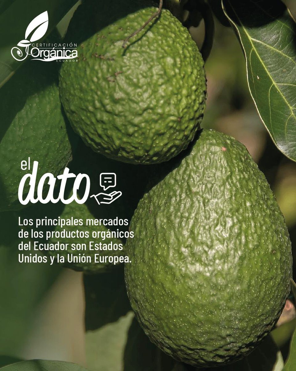 Agrocalidad tweet media