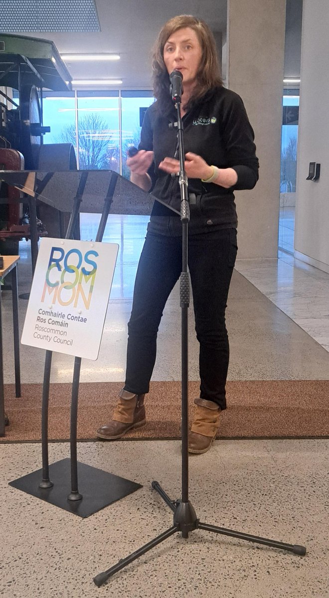 Roscommon County Council tweet media