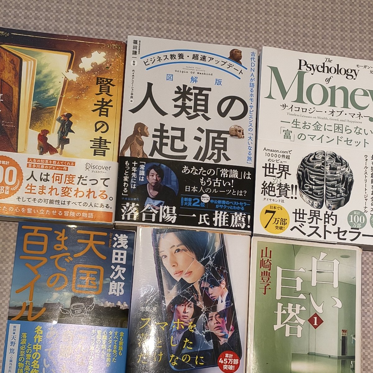 たくや@WEB制作G-conure🦜HP作ります！ tweet media