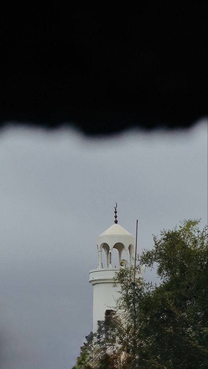 ʜɪʙᴀ ོ . tweet media