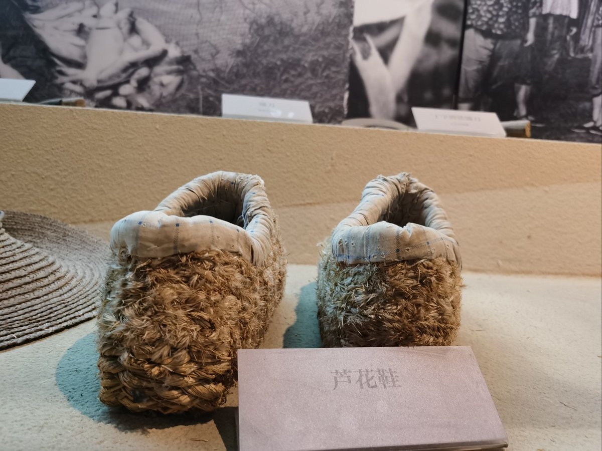 juliepaquette tweet media