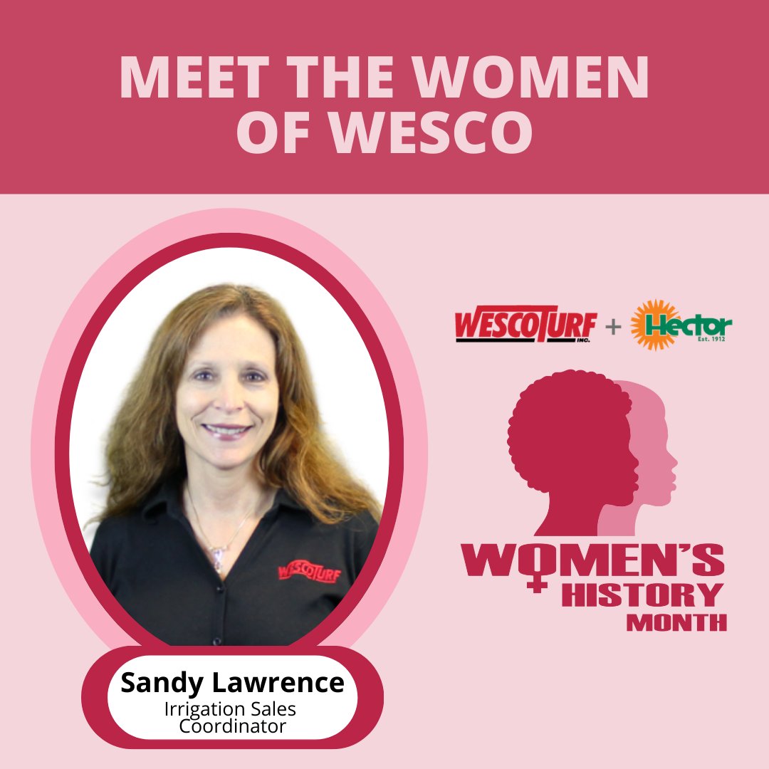 Hector Turf tweet media