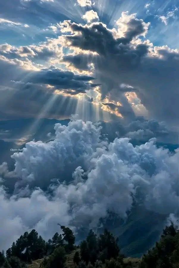 بتر الخواطر tweet media