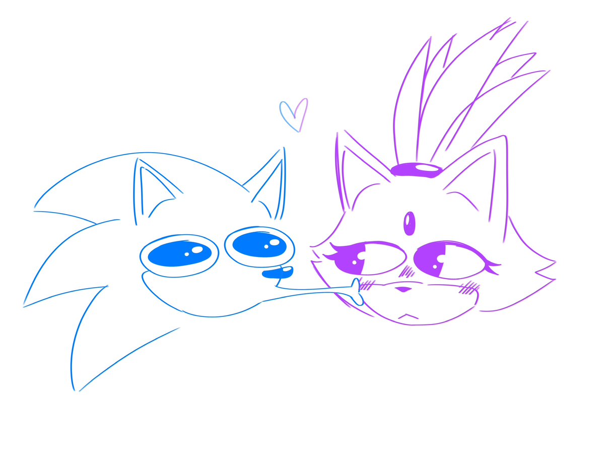 i need everyone to remember i don’t just ship sonadow