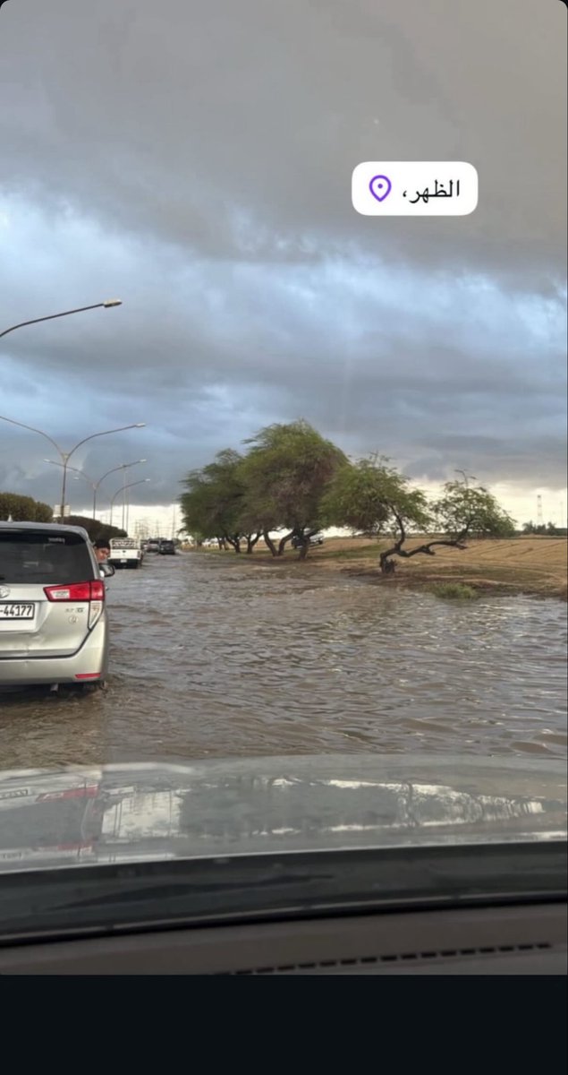 وشعاد tweet media