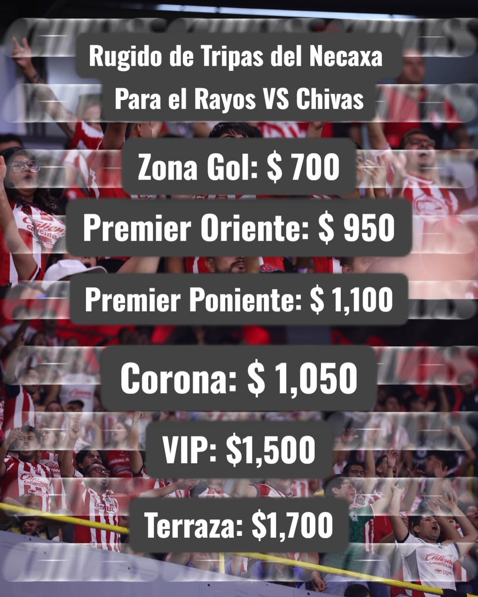 Palestra Ags tweet media